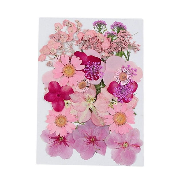 Flores prensadas secas Macarena Adorno de jabón para manualidades florales Estilo F