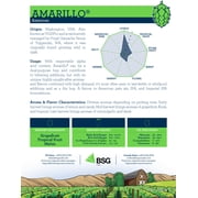 Amarillo® (US) Hop Pellets 8 oz