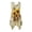 Butterfly and Sunflower Design, variant on HELLHERO Sleeveless Sundress with Science Formula, Asymmetric Hem Midi Dress for Women Daily Wear and Summer Vacation