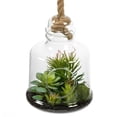 thumbnail image 3 of Vickerman FH182501 10 Po. Succulentes Vertes Assorties dans un Pot en Verre, 3 of 3
