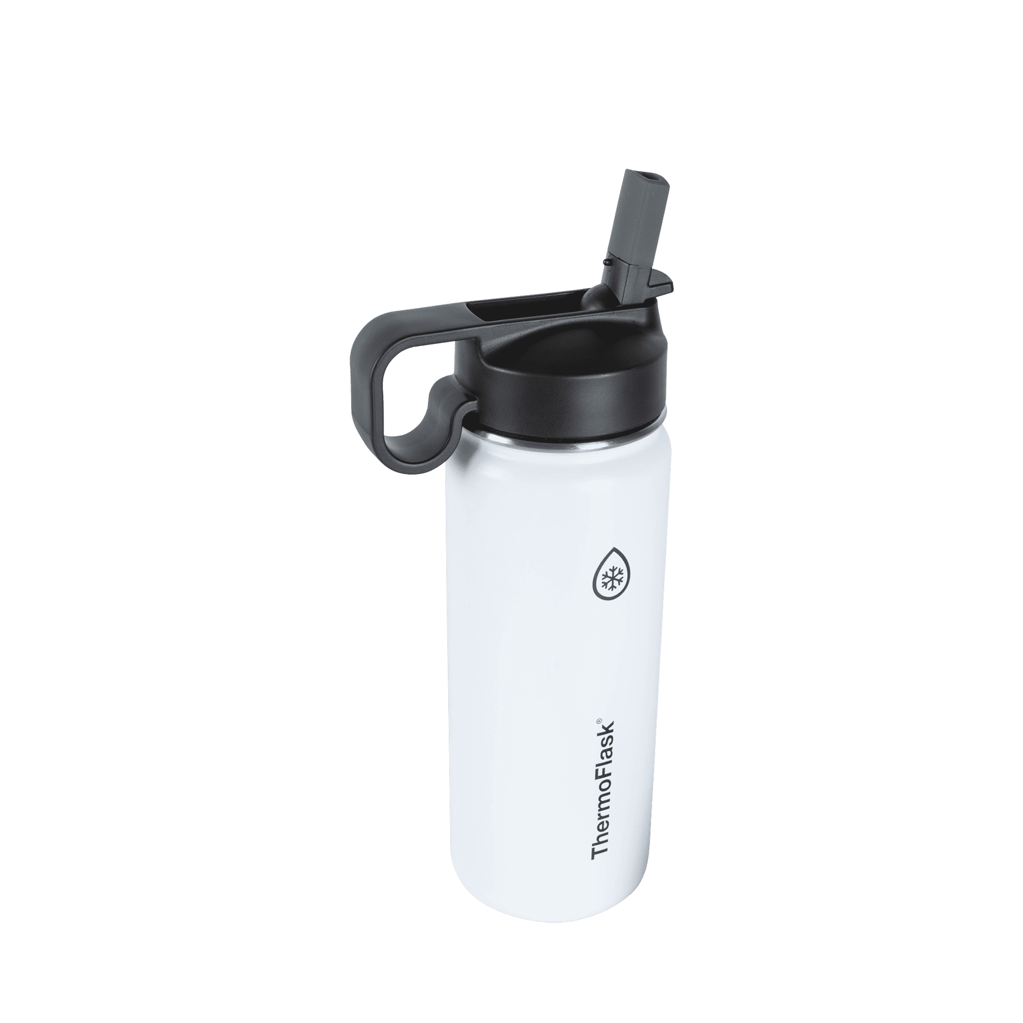 Thermoflask Stainless Steel Water Bottle With Chug and Straw Lid, 18oz