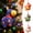 Green, variant on XIAHAO Chinese New Year Horse Plush Decoration 2026 Year of The Horse Ornament Mascot Zodiac Animal Spring Festival Gift Indoor Outdoor Home Car Office Hanging Decor (White)