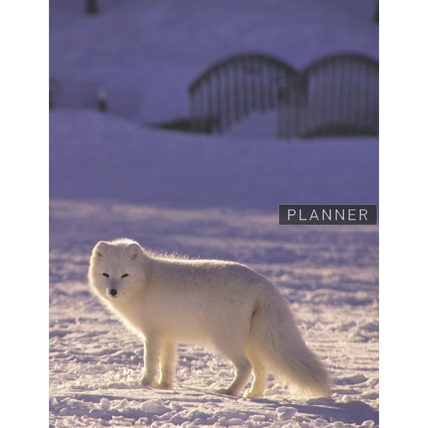Planner: Adorable Arctic Fox Anime & Chill 2 Year Monthly Planner With Note  Pages (24 Months) -