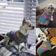 thumbnail image 5 of Suéter para perros Suéter navideño para mascotas Suéter tejido con cuello alto para mascotas532, 5 of 5