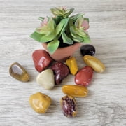 Crystal Joys Mookaite Jasper Tumbled Stone – Earthy & Unique, 0.5-1 Inch (1 Piece)