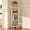 White, variant on LELELINKY 3-Tier Corner Shelf with Sturdy Base, 28" Tall Narrow Bookcase for Adult Small Spaces & Living Room, White
