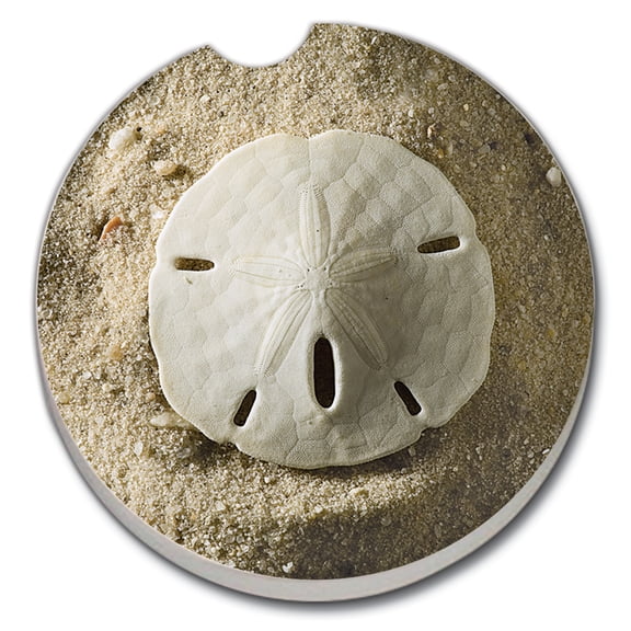Absorbent Stoneware Car Coaster, Sand Dollar on Sand, Set of 2
