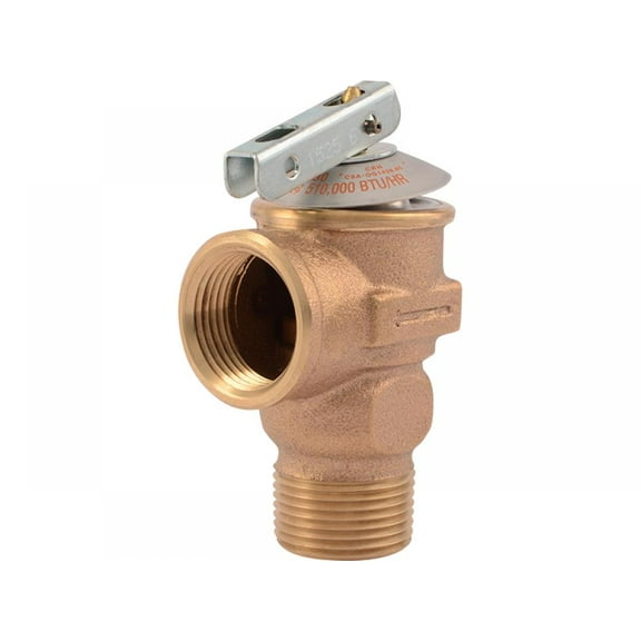 Cash Acme F-30 ASME 3/4" Pressure Relief Valve 30 PSI - 20166-0030