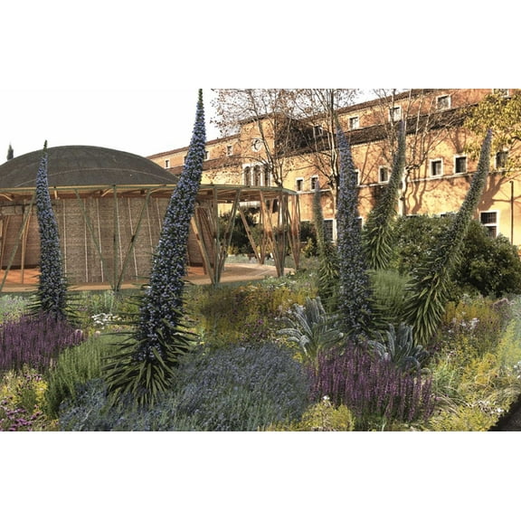 The Majlis: A Meeting Place, (Hardcover)