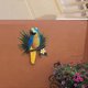 thumbnail image 2 of Metal Parrot Wall Art Decor Outdoor Birds Wall Fence Decorations A, 2 of 5