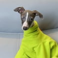thumbnail image 2 of HQREA Italian Greyhound Onesie Clothes Whippet Dog Dinosaur Costume Pajamas for Large Dogs, 2 of 6