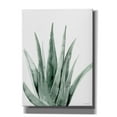 thumbnail image 1 of Epic Graffiti 'Summer Botanicals 2' by Rachel Nieman, Canvas Wall Art, 40"x54", 1 of 2