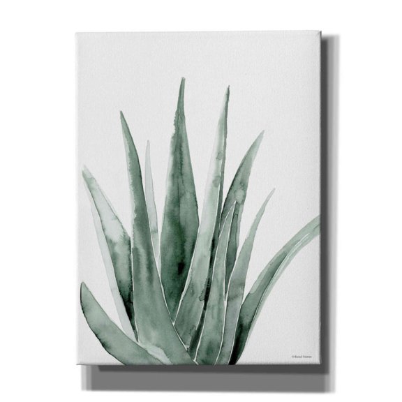 Epic Graffiti 'Summer Botanicals 2' by Rachel Nieman, Canvas Wall Art, 40"x54"