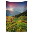 thumbnail image 3 of Ambesonne Nature Tablecloth Rectangular Table Cover, Summer Scene Flowers, 60"x90", Pink Green Blue, 3 of 4