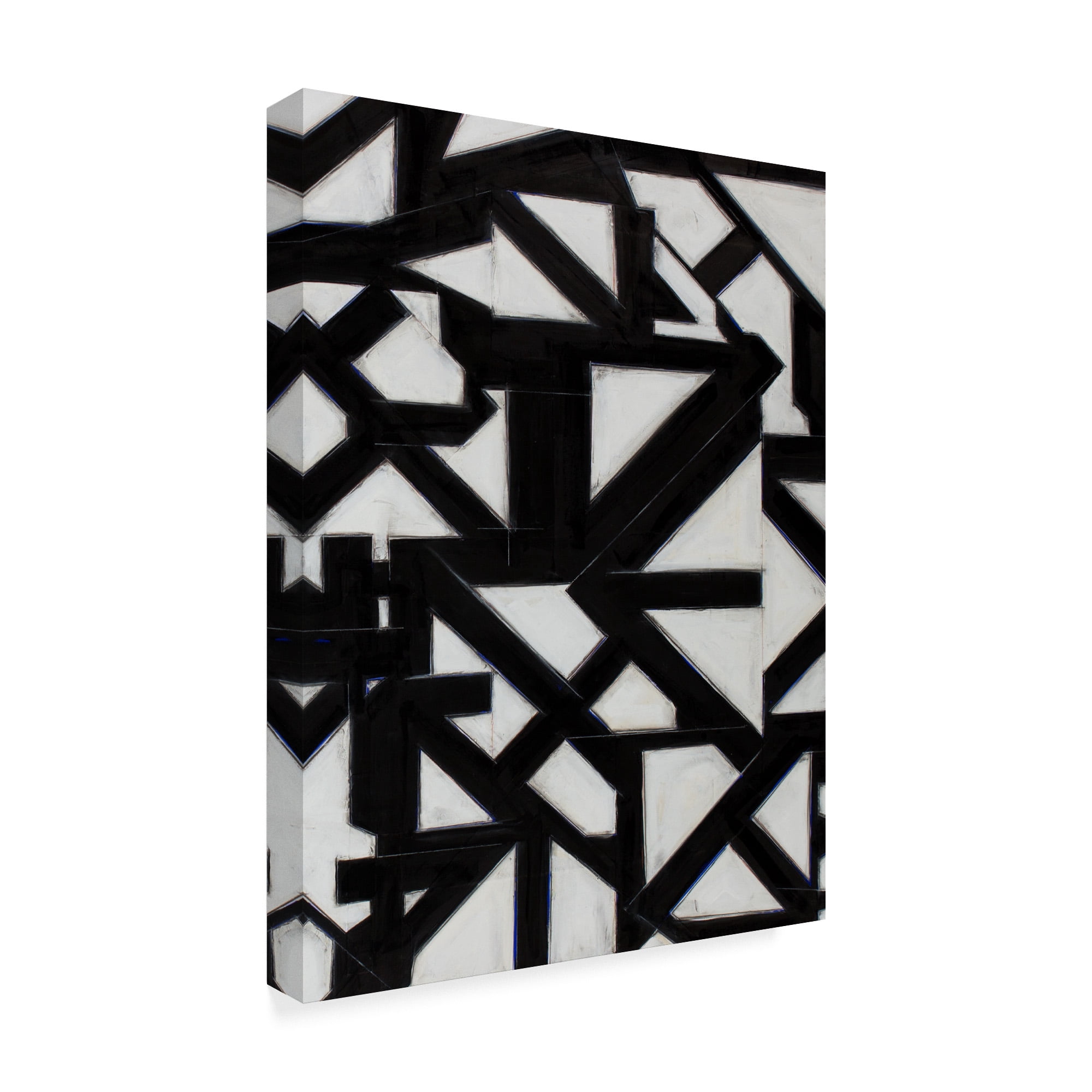 Trademark Fine Art 'Topographic I' Canvas Art by Rob Delamater