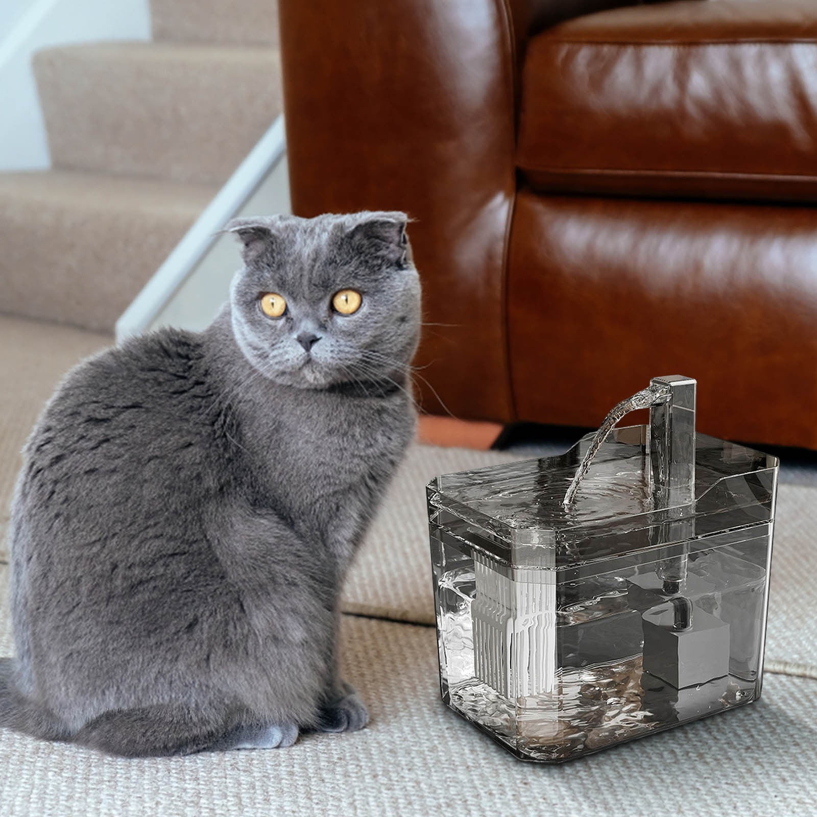 Hometravel Automatic Cat Water Fountain with Filter, Silent Circulation Pet Drinking Dispenser, Large Capacity Smart Water Feeder for Cats, Small Dogs
