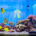 thumbnail image 4 of unbranded 3Ud Adornos Para Acuario De Medusas Realistas En Material Resistente Y, 4 of 6