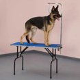 thumbnail image 3 of Master Equipment Table de Toilettage Pliable pour Animaux de Compagnie avec Bras de Laisse Réglable, Bleu, 3 of 3