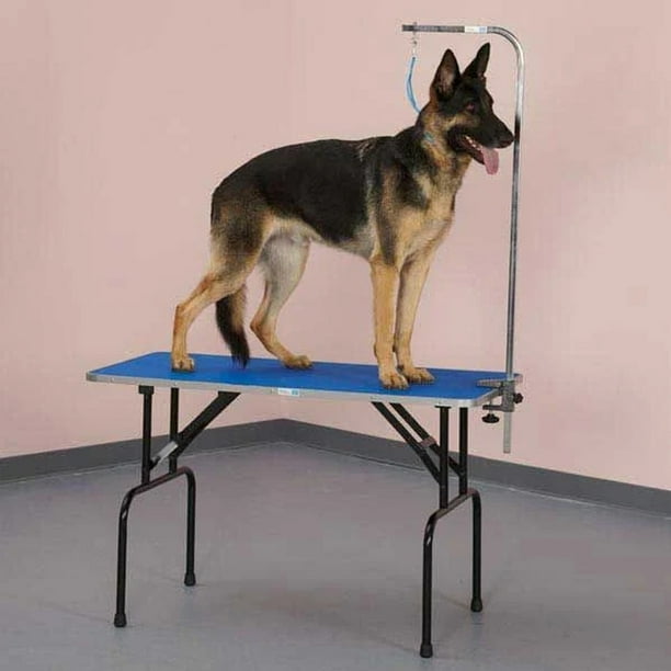 Master Equipment Foldable Pet Grooming Table with Adjustable Leash Arm Blue Walmart