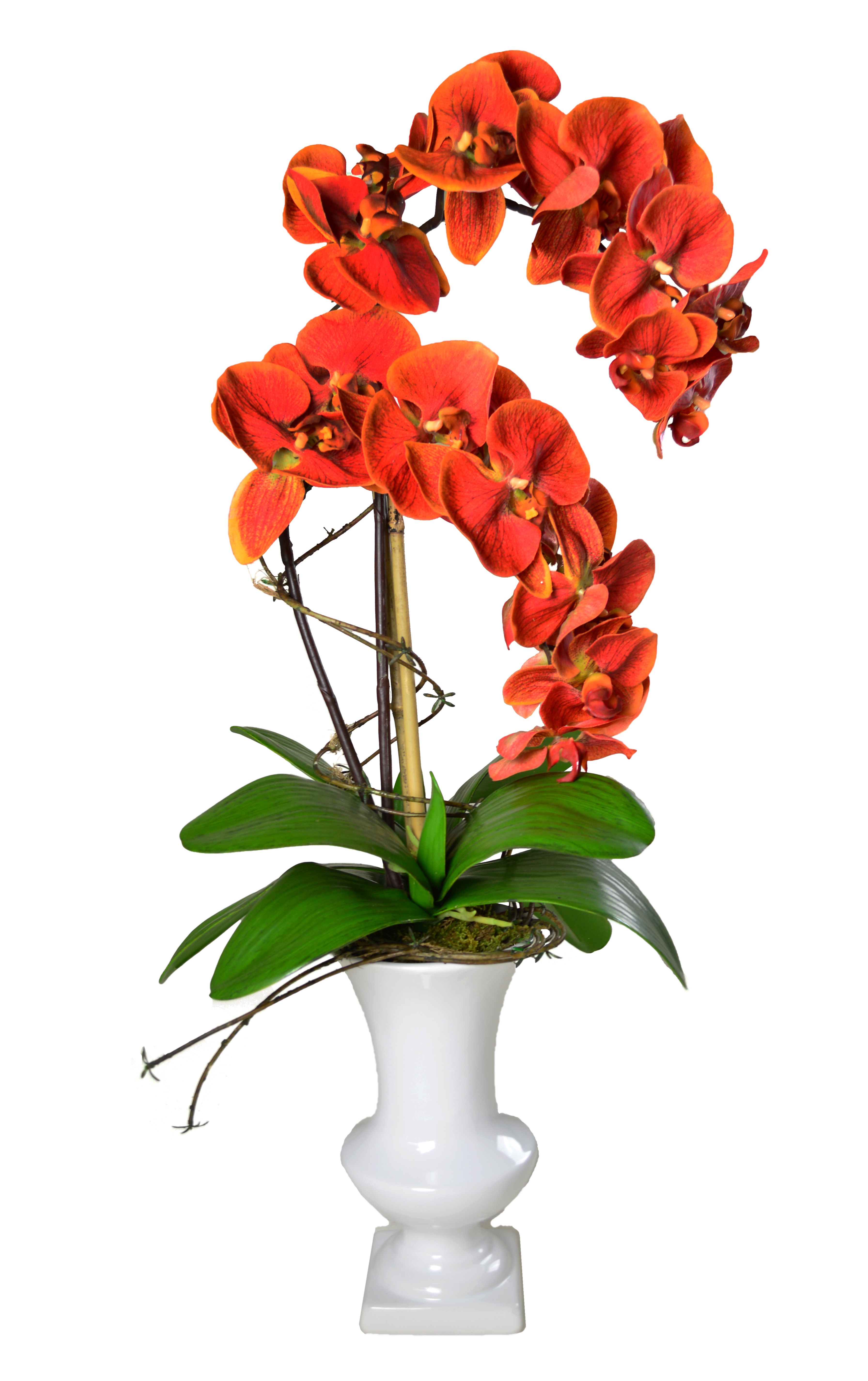 Red orchids