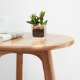 thumbnail image 4 of Hassch Natural Oak Round End Table, Solid Wood 3-Leg Side Table for Bedroom or Living Room, Multi-Functional Accent Table, Easy Assembly, 17.7" Dia x 19.7"H, 4 of 7