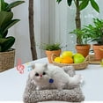 thumbnail image 4 of Sound Emitting Cat Companion for Car and Desktop DÃ©cor â Indoor Outdoor Toy for Kids 3 Plus Christmas Celebration, 4 of 6