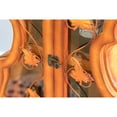 thumbnail image 7 of 4.5 Feet Tall Violin Shaped Cabinet With 2 Shelf and Acrylic Clear Double Door, 7 of 7