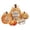 C #1, variant on ZZAIXHL 5 Pcs Fall Pink Pumpkin Decor for Home Thanksgiving Wooden Table Centerpiece Decorations Fall Wooden Pumpkin Signs for Autumn Home Living Room Kitchen