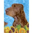 thumbnail image 1 of Carolines Treasures SS4159CHF 28 x 40 In. Field Spaniel Flag Canvas- House Size, 1 of 4