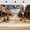 Multi2, variant on 6X4ft Rustic Wild West Western Backdrop, Cowboy Saloon Desert Street Photography Background for Party Photo Booth & Wall Decor