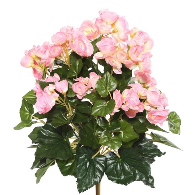 Light Pink Begonia Floral Bush - 15.25 in.