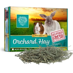Small Pet Select Orchard Grass Hay, 10 lb