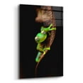 thumbnail image 2 of Epic Art 'Frog Portrait' by Thomas Haney, Acrylic Glass Wall Art, 16"x24", 2 of 8