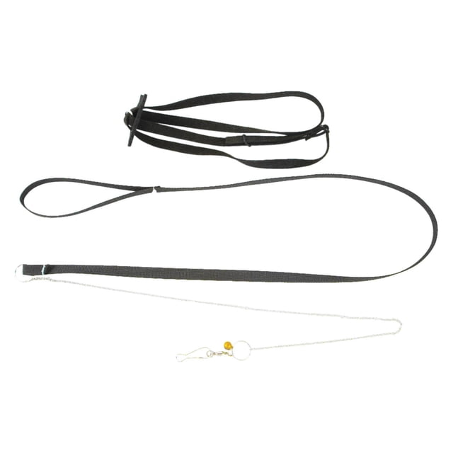 Binwennn Turtle Leash Small Turtle Leash And Harness Pet Tortoise Leash Walking Rope For Turtle Supplies Adjustable Control Rope For Outdoor Walking Training Yellow Two Handle Dog Leash Reflective