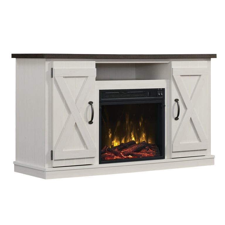 Twin Star Home Barn Door TV Stand for TVs up to 55