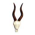 thumbnail image 5 of kowaku Faux Animal Skull Wall Sculpture Resin Rustic Animal Head Sculpture Wall Hanging Animal Faux Skull for Fireplace Bedroom Home Sheep, 5 of 9