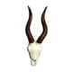 thumbnail image 5 of Escultura de pared de cabeza de animal, escultura de pared de animal falsa, arte colgante, cabeza de animal Oveja, 5 of 9