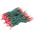 thumbnail image 1 of Novelty Lights RetroGlo® Mini Lumières DEL, 100 Ampoules Rouges en Céramique sur Fil Vert, 34 Pi avec Espacement de 4 Pouces, Style Incandescent avec Efficacité Moderne, Noyau Blanc Chaud 2700K, Ampoules Interchangeables, 1 of 6