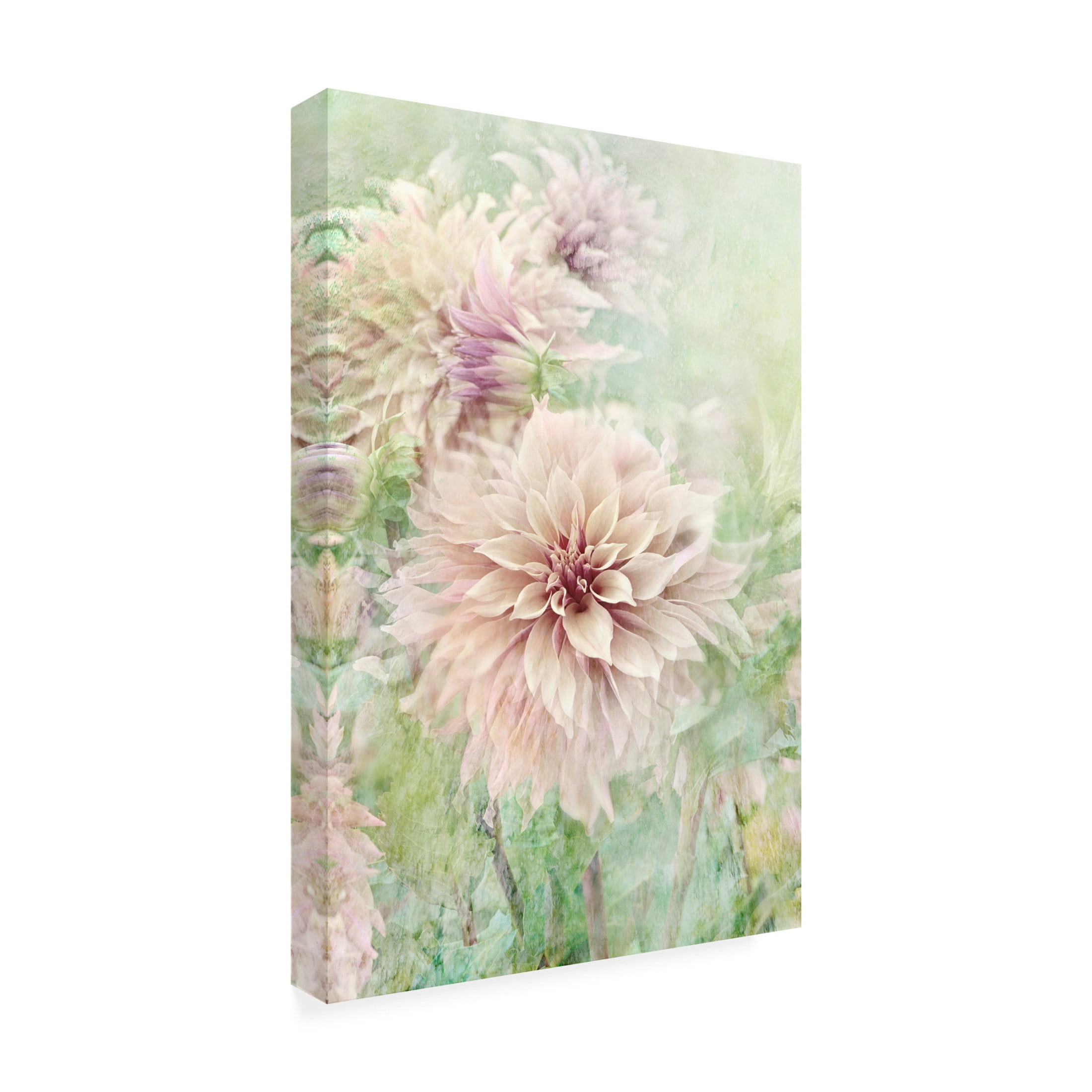 Trademark Fine Art Jacky Parker Romance Canvas Wall Art