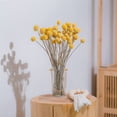 thumbnail image 3 of 120 piezas de flores secas de craspedia, flores secas en forma de bola, ramo de flores secas para arreglos de boda, decoración del hogar, 3 of 5
