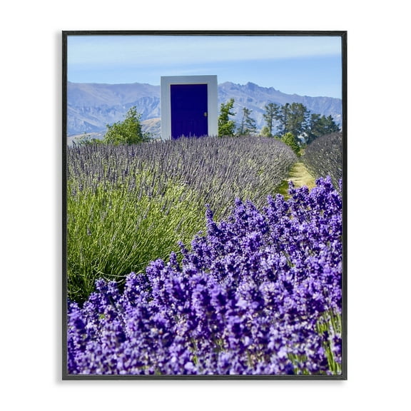 Stupell Industries Surreal Doorway Landscape Landscape Photography Black Framed Art Print Wall Art, 11 x 14