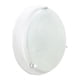 thumbnail image 5 of Lámpara De Techo Luz Ideal, Plafón 450 Blanco Grande Azúcar., 5 of 5