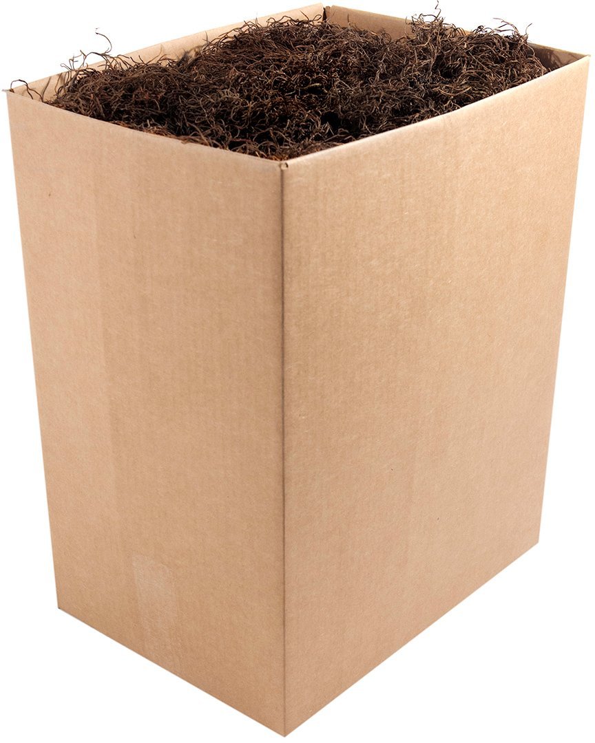 SuperMoss (27026) Spanish Moss Preserved, Coffee, 5lbs Walmart Canada