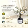 thumbnail image 3 of KBHOMFRA Reed Diffuser 3.38fl.oz Jasmine Scent Home Fragrance Essential Oil, 3 of 9