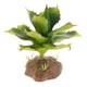 thumbnail image 1 of TERRARIO MULTI PEQUEÑA PNTA RACIÓN DE ES VIVARIUM Yuyangstore Terrería de reptiles, 1 of 8