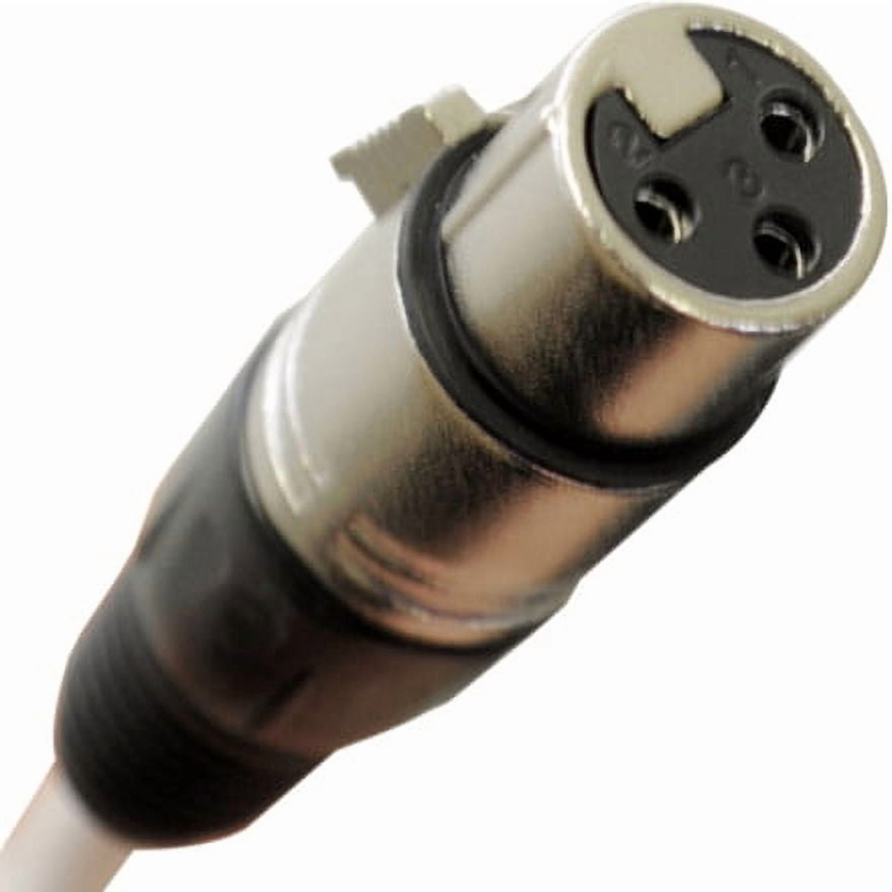 Seismic Audio SARLX-8x25, 8 Channel XLR Colored Snake Cable 25'
