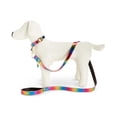 thumbnail image 4 of Betsey Johnson xox Trolls Leather Dog Pet Leash (Rainbow), 4 of 5