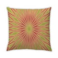 thumbnail image 1 of Ahgly Company Indoor Square Contemporary Throw Pillow, 18 inch by 18 inch, 1 of 5
