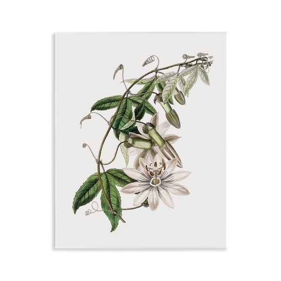 Stupell Industries Vintage Lily Plant Floral Painting Unframed Art Print Wall Art, 11 x 14