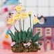 thumbnail image 3 of Miniatura de casa de muñecas en escala 1:12, maceta de resina con flores y plantas, accesorios para casa de muñecas., 3 of 8